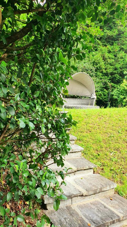 Bella Vista Lago Maggiore Ghiffa Dış mekan fotoğraf