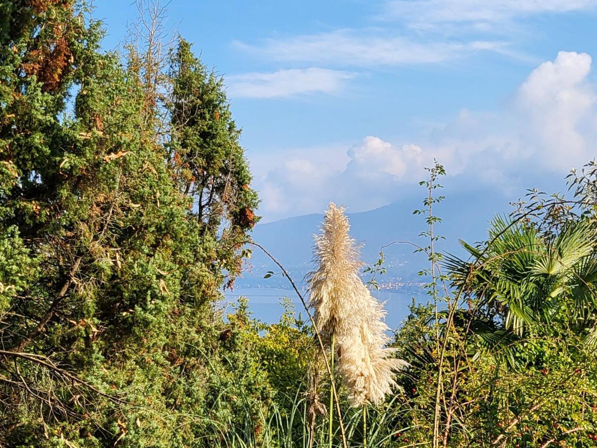 Bella Vista Lago Maggiore Ghiffa Dış mekan fotoğraf