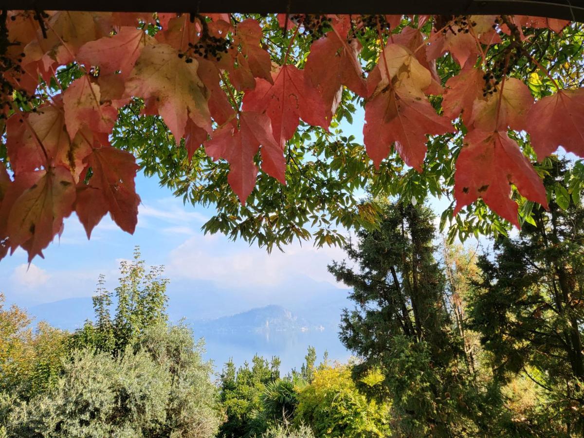Bella Vista Lago Maggiore Ghiffa Dış mekan fotoğraf